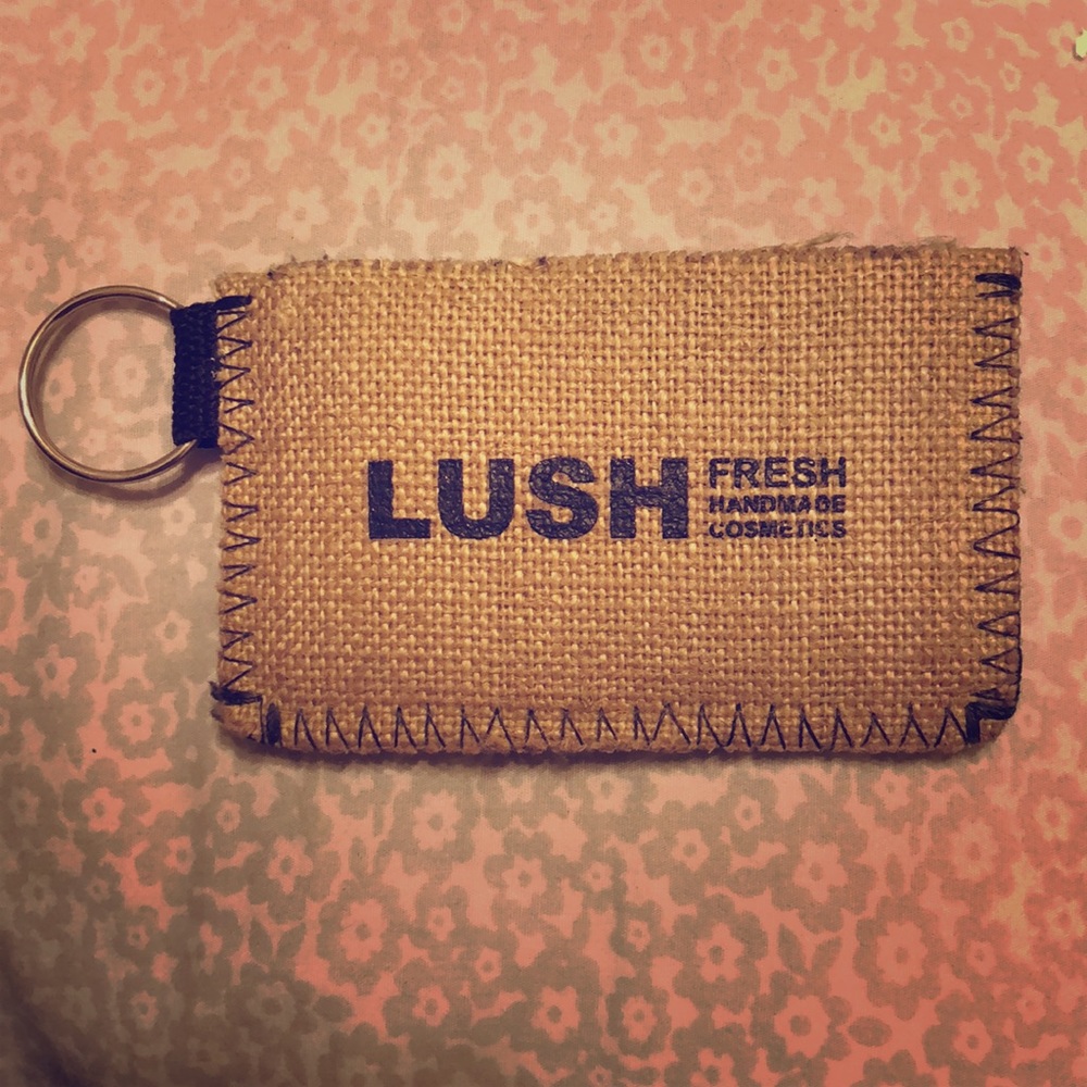Limited Edition Lush Cosmetics carrying case